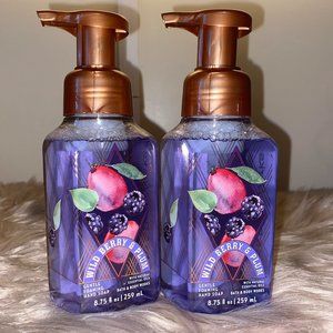Bath & Body Works Wild Berry & Plum Gentle Foaming Hand Soap Sealed